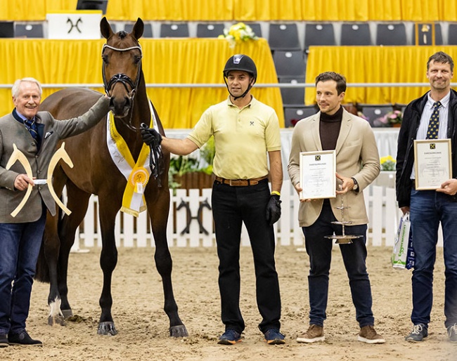  Deputy President Carsten Leopold congratulates breeder Kai Ehlers, exhibitor Thomas Berger and handler Pascal Kandziora on the premium stallion Rockson (by Rock Springs x San Remo). :: Photo © Hannoveraner Verband