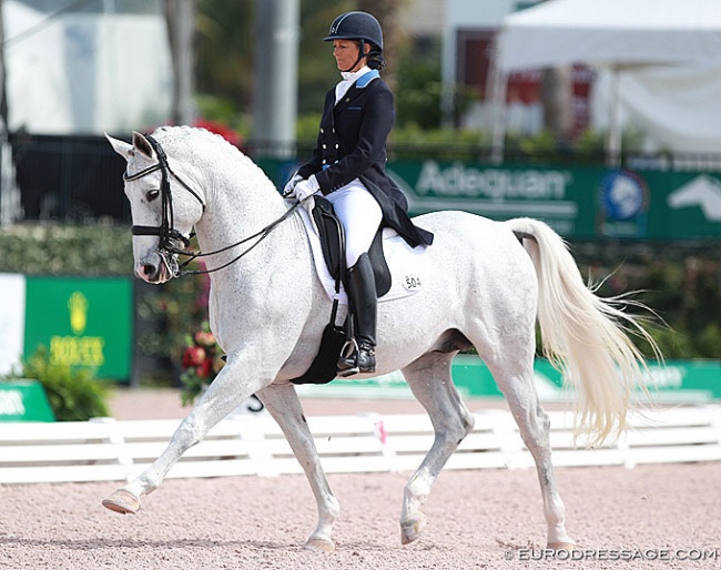 Susanne Hamilton and Lord Locksley at the 2016 CDI Wellington :: Photo © Astrid Appels