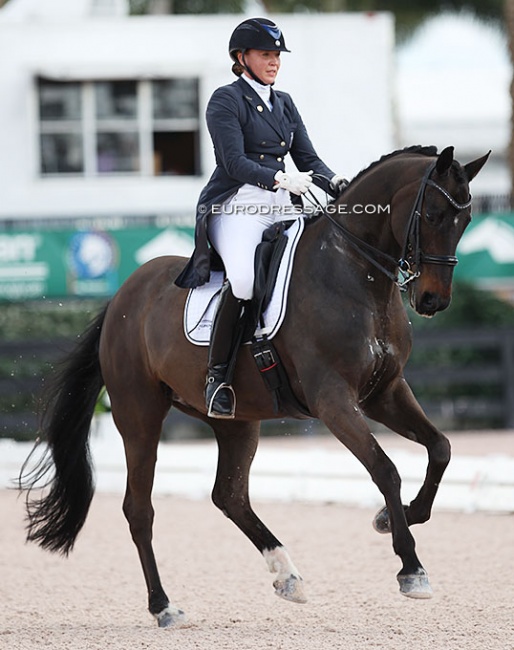 Esther Mortimer competing Linosso at the 2018 CDI Wellington :: Photo © Astrid Appels