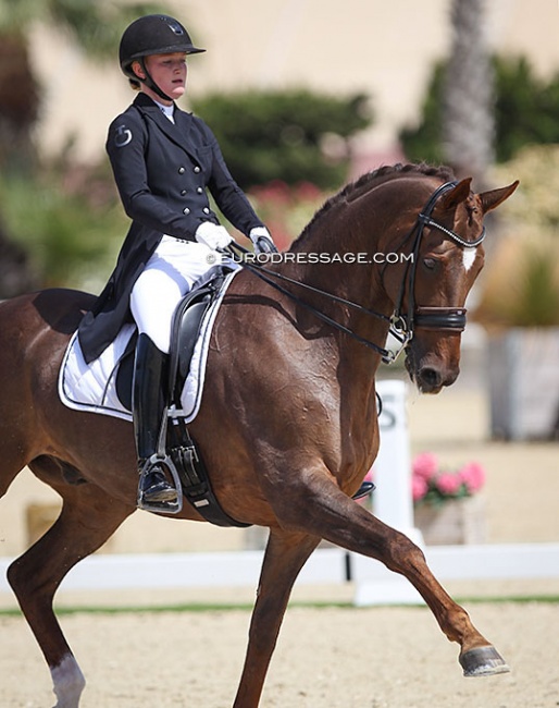 Skovborgs Romadinov at the 2021 European Young Riders Championships in Oliva Nova, ESP :: Photo © Astrid Appels