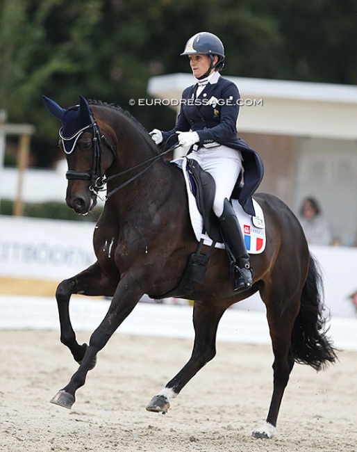 Barbara Clement Klinger and Jarina des Vallées at the 2021 World Young Horse Championships :: Photo © Astrid Appels