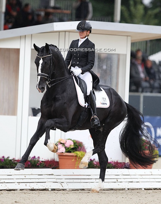 Marieke van der Putten and powerhouse Jameson at the 2021 World Young Horse Championships in Verden :: Photo © Astrid Appels