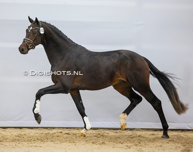 Prime Time (by Jameson Rs2 X Apache) :: Photo © Digishots