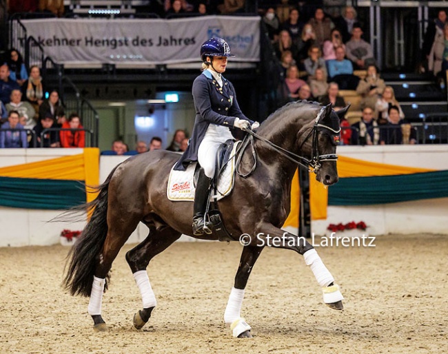 Beatrice Arturi on Millennium at the 2022 Trakehner Stallion Licensing :: Photo ©  Stefan Lafrentz