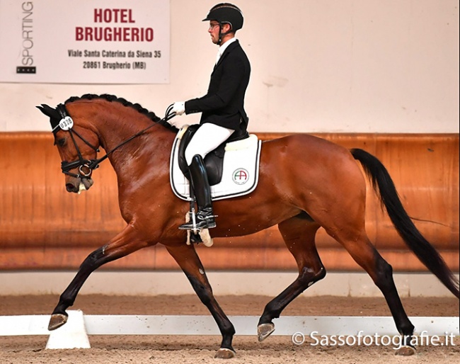 Nelson Ramos Aleluia and Happy Days di Fonteabeti at the 2022 Italian Young Horse Championships in Ornago :: Photo © Sassofotografie.it