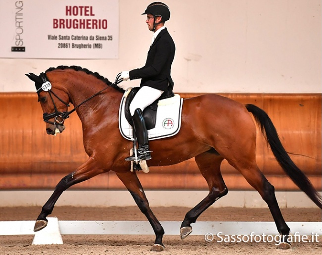 Nelson Ramos Aleluia and Happy Days di Fonteabeti at the 2022 Italian Young Horse Championships in Ornago :: Photo © Sassofotografie.it