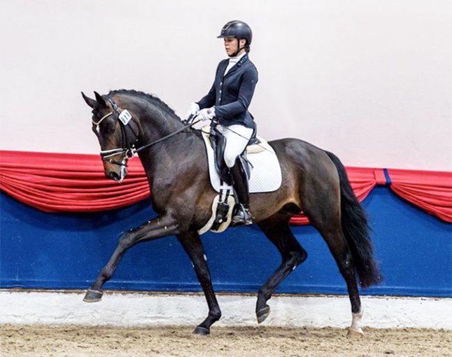 Brandi Roenick on Escanto PS in Vechta :: Photo © Equitaris