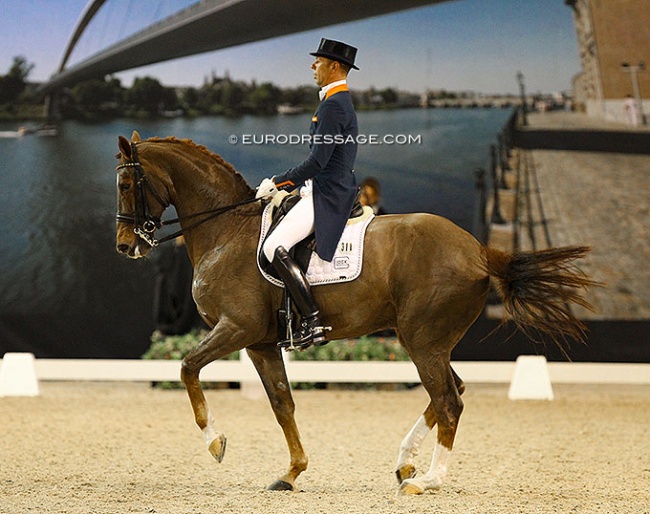 Hans Peter Minderhoud and Flirt at the 2016 CDI Maastricht :: Photo © Astrid Appels