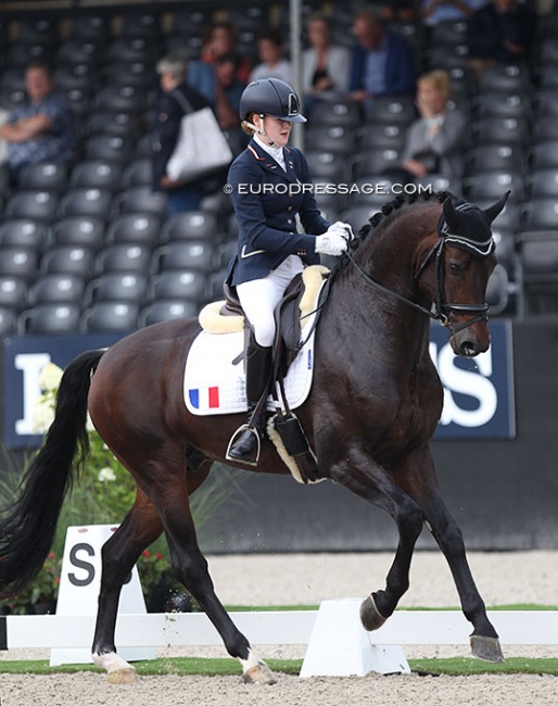 Cynthia Eggenkamp and Emotion de Saint Val at the 2019 World Young Horse Championships :: Photo © Astrid Appels