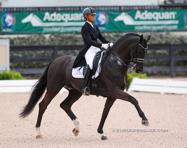 Leida Collins-Strijk on Fellini at the 2019 CDI Wellington :: Photo © Astrid Appels