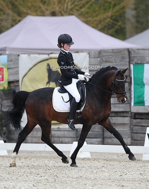 Isa Hollands and Westerhuis Zorro at the 2021 CDI Sint-Truiden :: Photo © Astrid Appels