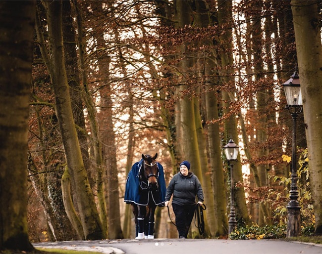 Gestüt Eulenhof in Dülmen, Germany