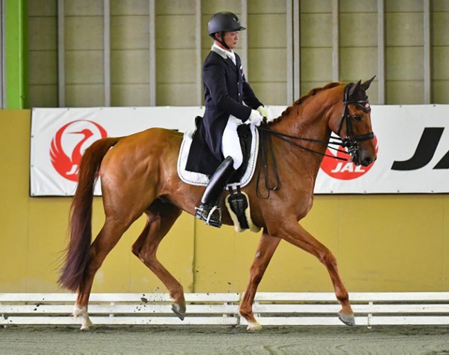 Kiichi Harada on Off the racetrack Thoroughbred Acorn Path at the 2022 Japan Dressage Championships :: Photo © JRA 