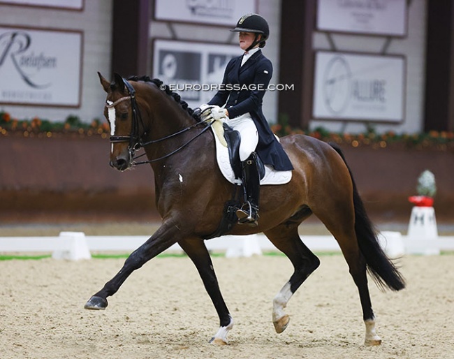 Knight Rider at the 2022 CDI Kronenberg :: Photo © Astrid Appels