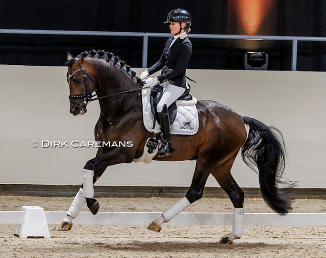 Renate van Uytert on My Blue Hors Santiano in the stallion show during the 2022 KWPN Stallion Licensing in Ermelo :: Photo © Dirk Caremans