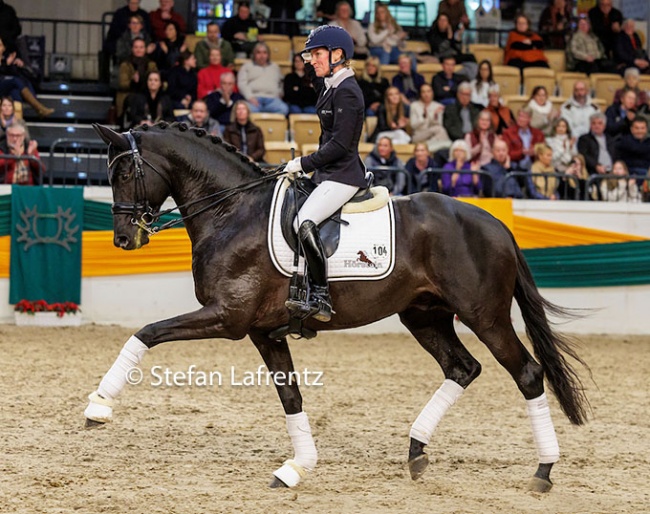 Helen Langehanenberg and Kwahu at the stallion show during the 2022 Trakehner Stallion Licensing :: Photo © Stefan Lafrentz