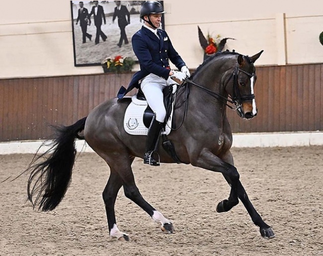 Martin Christensen and Dolciario at the 2023 CDN Ankum :: Photo © Mhisen