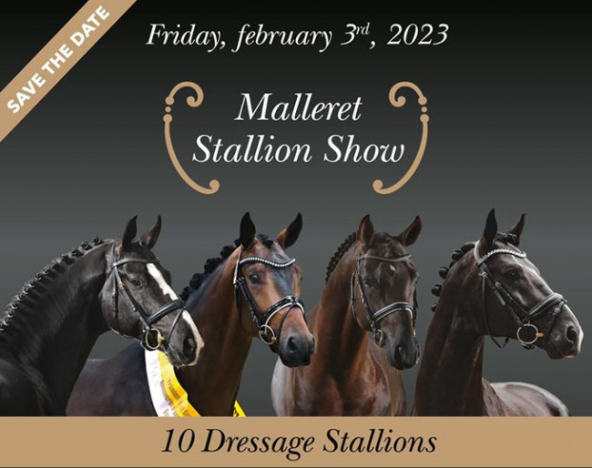 Stallion show at Haras de Malleret on 3 February 2023, featuring Helen Langehanenberg and Manuel Dominguez