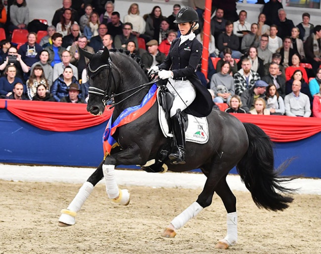 VTV-Oldenburg Dressage Stallion of the Year 2022: Total Hope OLD under Isabel Freese :: Photo © OLD-Art
