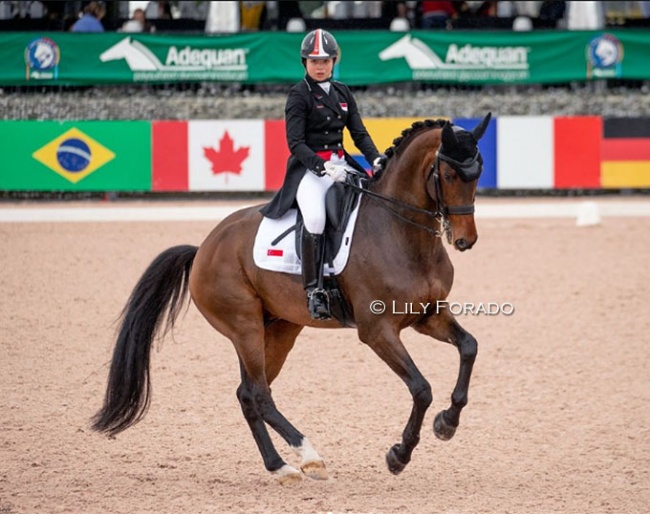 Caroline Chew and Blue Hors Zatchmo at the 2023 CDI Wellington :: Photo © Lily Forado