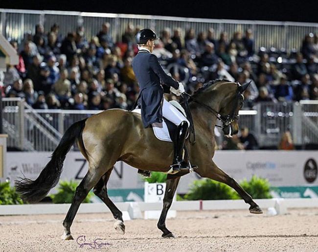Frederic Wandres and Bluetooth at the 2023 CDI Wellington :: Photo © Sue Stickle