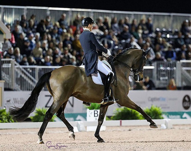 Frederic Wandres and Bluetooth at the 2023 CDI Wellington :: Photo © Sue Stickle
