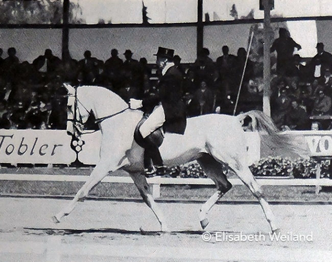 Josef Neckermann and Mariano at the 1966 World Championships Dressage :: Photo © Elisabeth Weiland