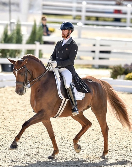 O'Captain at Dressage at Devon