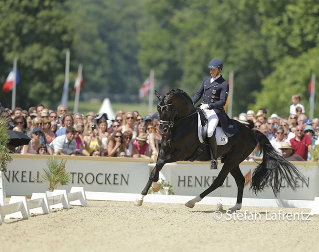 People were climbing in the trees to catch a glimpse of Matthias Rath compete Totilas at the CDI Wiesabden after Schockemöhle had bought him from Visser in the autumn of 2010 :: Photo © Stefan Lafrentz