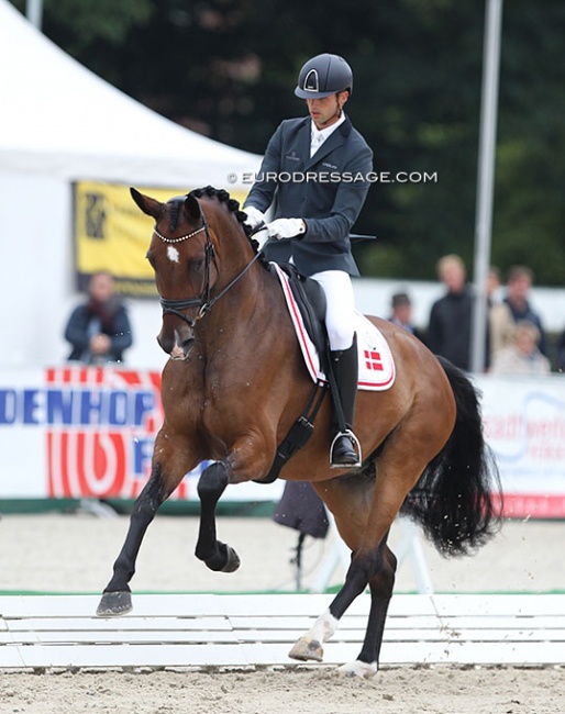 Eric Guardia Martinez and Tophojs Diadora at the 2021 World Young Horse Championships :: Photo © Astrid Appels