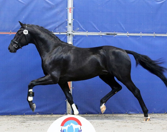 Promes (2020, Glamourdale x Jazz)