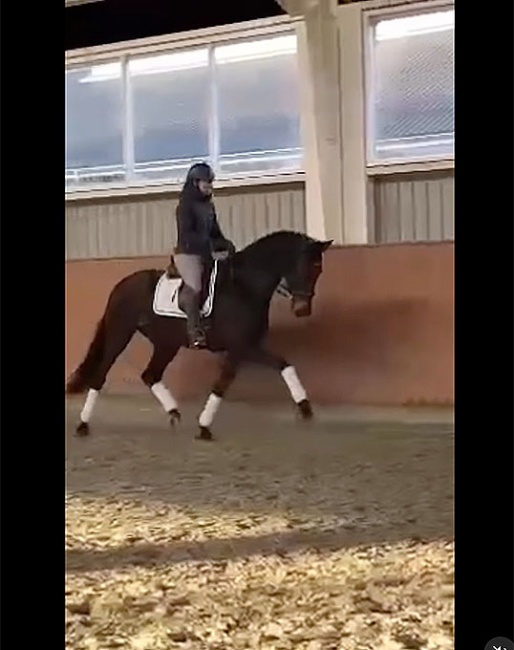 Screen shot of Dufour trying out HP Viard for the first time