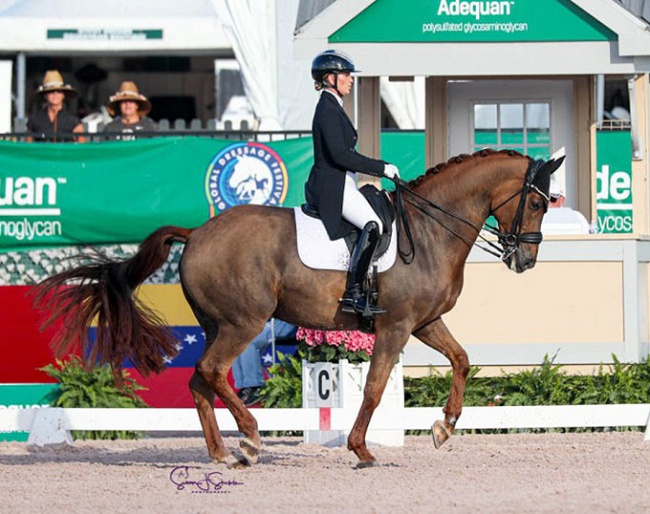 Morgan Barbancon and Habana Libre A at the 2023 CDI-W Wellington :: Photo © Sue Stickle