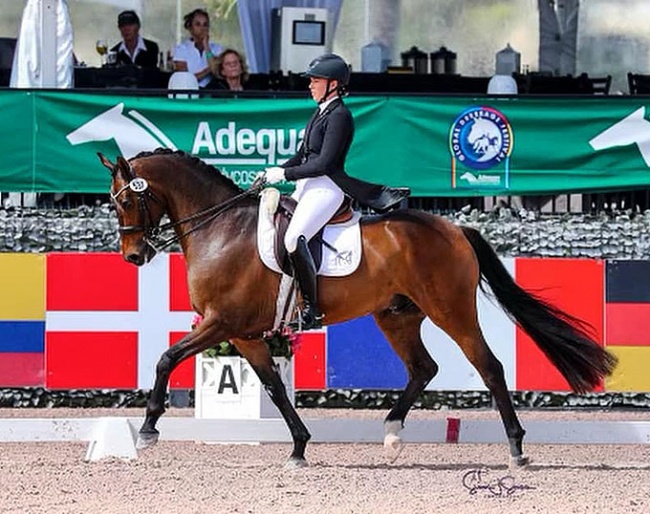 Hope Beerling on UNO Elando at the 2023 CDI Wellington :: Photo © Sue Stickle