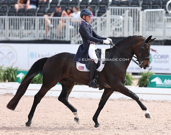 Benjamin Ebeling on Status Royal in the U25 Inter II at the 2023 CDIO Wellington :: Photo © Astrid Appels