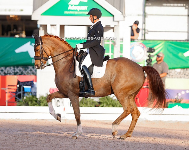 Julio Mendoza Loor and Jewel's Goldstrike at the 2023 CDIO Wellington :: Photo © Astrid Appels