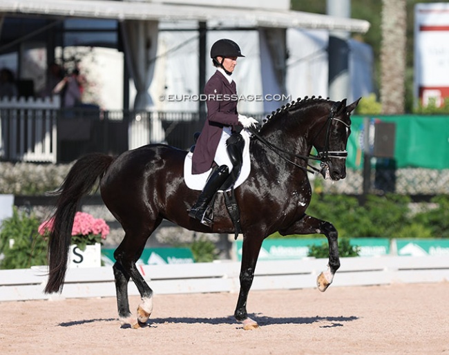 Alice Tarjan and Candescent finding their stride at the 2023 CDIO Wellington :: Photo © Astrid Appels