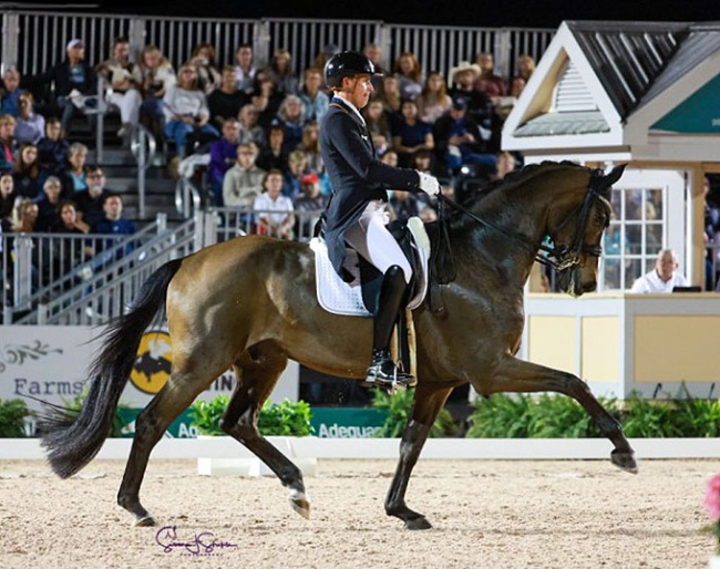 Frederic Wandres and Bluetooth at the 2023 CDI-W Wellington :: Photo © Sue Stickle