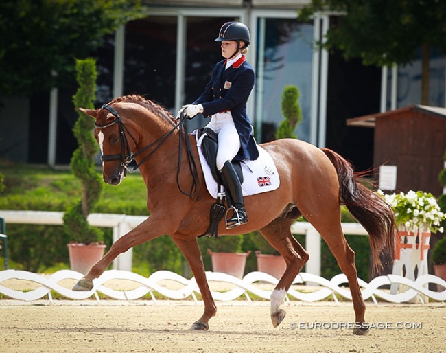 Olivia Oakeley and Donna Summer at the 2014 European Young Riders Championships in Arezzo :: Photo © Astrid Appels