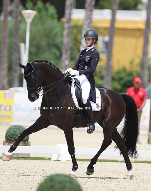 Luca Collin and Descolari at the 2021 European Young Riders Championships in Oliva Nova :: Photo © Astrid Appels