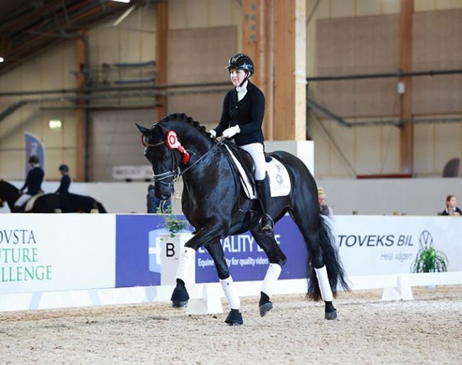 Johanna Sterner on Vangelis (by Vitalis x Dante Weltino) at the 2021 CDN Jönköping Horse Show