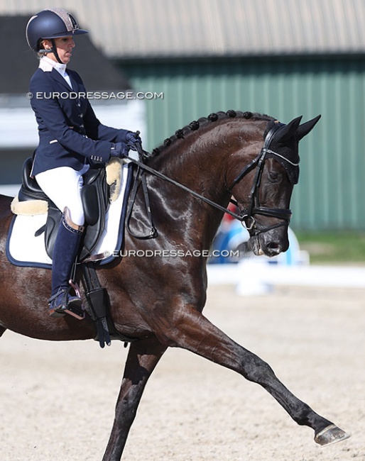 Manon Claeys and San Dior at the 2022 CPEDI Grote Brogel in July :: Photo © Astrid Appels