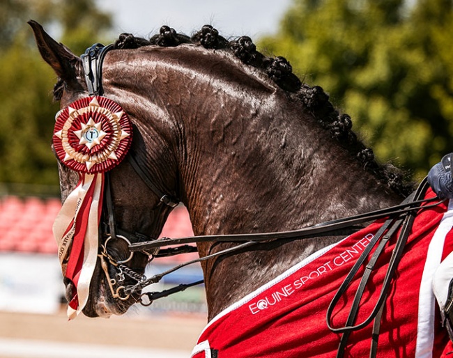 CDI 3* competition at Olomouc (CZE) on 11 - 14 May 2023
