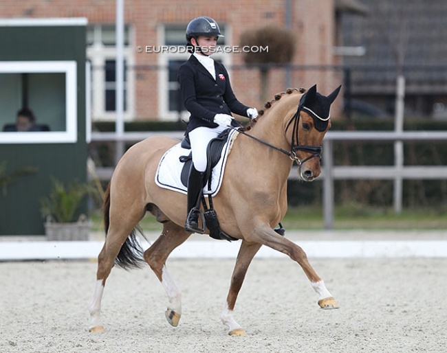 Strandgaards Doleys at the 2022 CDI Opglabbeek :: Photos © Astrid Appels