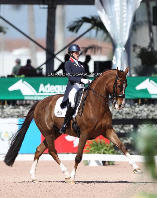 Brittany Fraser-Beaulieu and All In competing in the 2022 Palm Beach Derby :: Photo © Astrid Appels