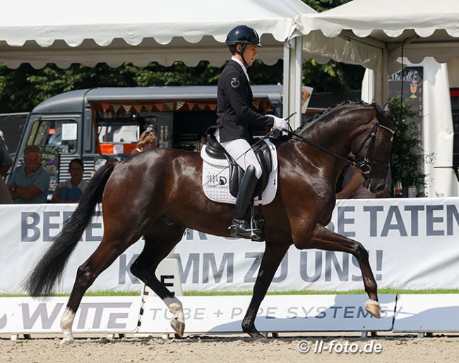 Santi Damil and Galleria's Amon at the 2022 Oldenburg Young Horse Championships in Rastede :: Photo © LL-foto