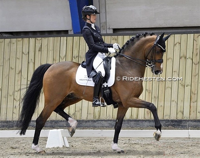 Anne Mette Strandby and Donkey Boy at the 2022 CDN Skarup :: Photo © Ridehesten