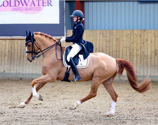 Johanne Amby Ubbesen on Møgelvangs Ferrari (by Sezuan x Come Back II) :: Photo © Ridehesten