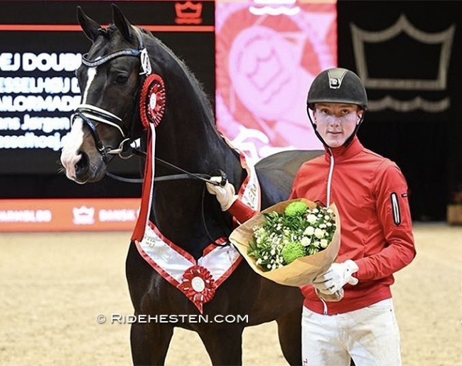 Anders Sjobeck Hoeck and premium stallion Hesselhøj Double Up at the 2023 Danish warmblood stallion licensing :: Photo © Ridehesten