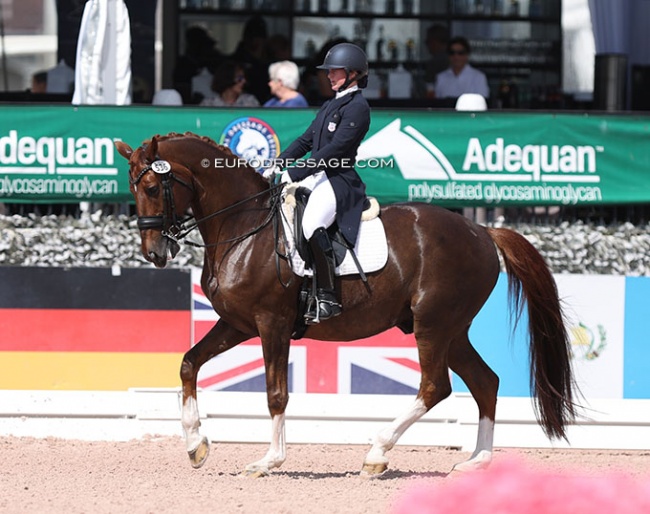 Codi Harrison and Katholt's Bossco at the 2023 Palm Beach Derby :: Photo © Astrid Appels